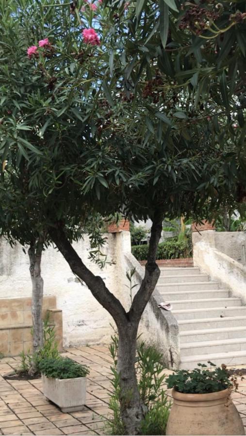 Emily Home Giardini Naxos Luaran gambar